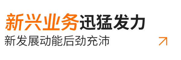 小標題03-新興業(yè)務(wù).png